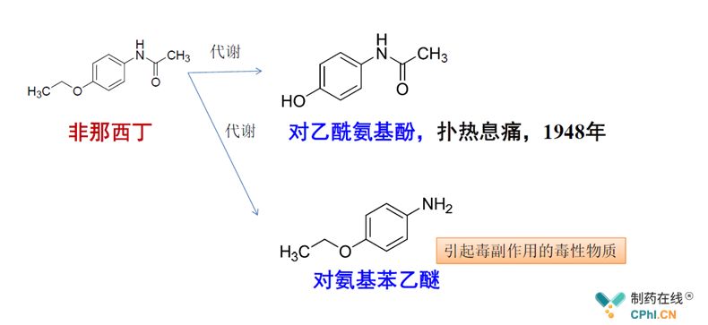 雀鳝和龙鱼混养吗（混养雀鳝和龙鱼需要注意哪些问题？） 水族问答 第1张