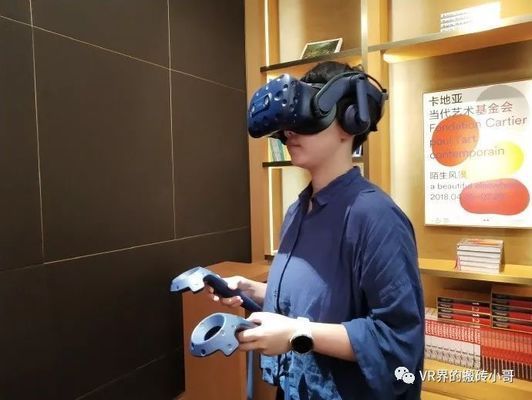 水族馆VR体验如何提升观展（vr水族馆vr体验对观展效果的提升作用）