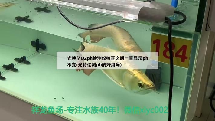 祥龙鱼粮瓶盖文字刮痕测试方法（祥龙鱼粮文字刮痕测试方法） 水族馆百科（水族馆加盟） 第5张