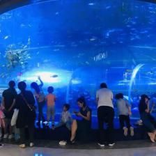 水族馆行业技术创新趋势（水族馆行业发展趋势） 水族馆百科（水族馆加盟） 第6张