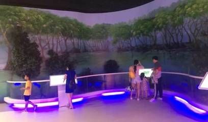 祥龙水族馆VR体验特色介绍（祥龙水族馆vr体验特色）