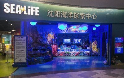 祥龙水族馆品牌影响力（如何进一步提升祥龙水族馆的品牌影响力）