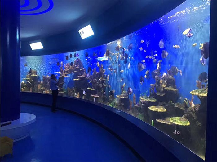 水族馆行业政策支持的具体措施（中国政府对水族馆行业提供了多方面的政策支持的具体措施） 水族馆百科（水族馆加盟） 第4张