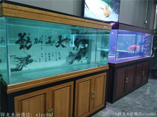 祥龙水族馆品牌故事分享（上海祥龙水族馆） 水族馆百科（水族馆加盟） 第4张