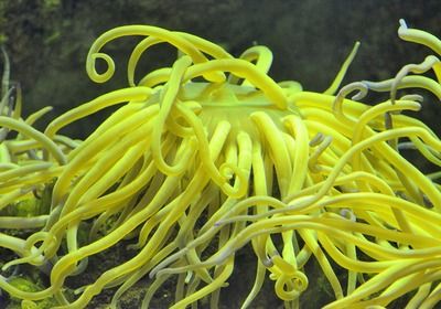 祥龙水族馆门票价格查询（广州水族馆海洋馆门票价格查询） 水族馆百科（水族馆加盟） 第5张