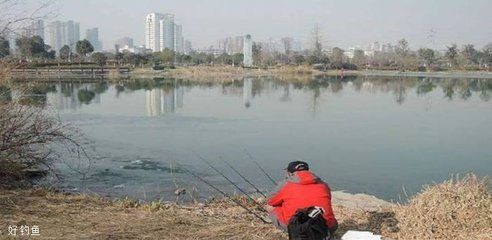 龙鱼之巅论坛滤材仓有泡沫（龙鱼之巅论坛滤材仓泡沫问题如何处理？） 水族问答