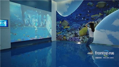 互动投影水族馆技术解析（互动投影水族馆） 水族馆百科（水族馆加盟） 第4张