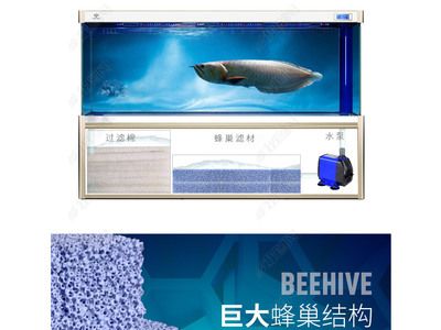 祥龙水族滤材适用场景案例（祥龙水族滤材在家庭水族箱中的应用） 水族馆百科（水族馆加盟） 第5张