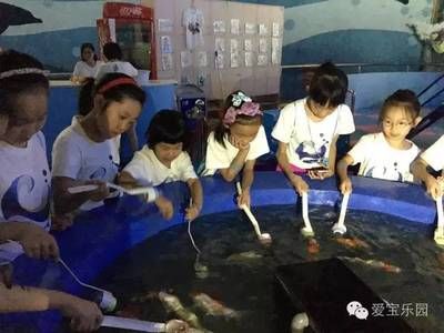 祥龙水族馆手工制作课程内容（祥龙水族馆手工制作课程）