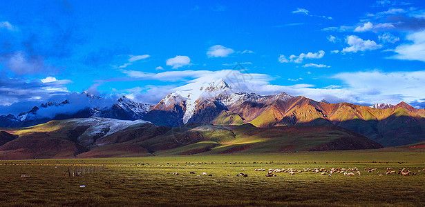 龙鱼背景图墙纸（如何选择龙鱼背景图墙纸） 龙鱼百科 第4张