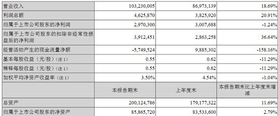 金龙鱼一年挣多少钱（金龙鱼2019年一年挣多少钱？） 龙鱼百科 第5张