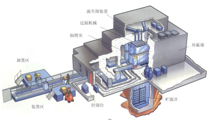 龙鱼养殖技术视频（龙鱼养殖技术视频中如何识别龙鱼健康问题以及如何处理） 水族问答 第2张