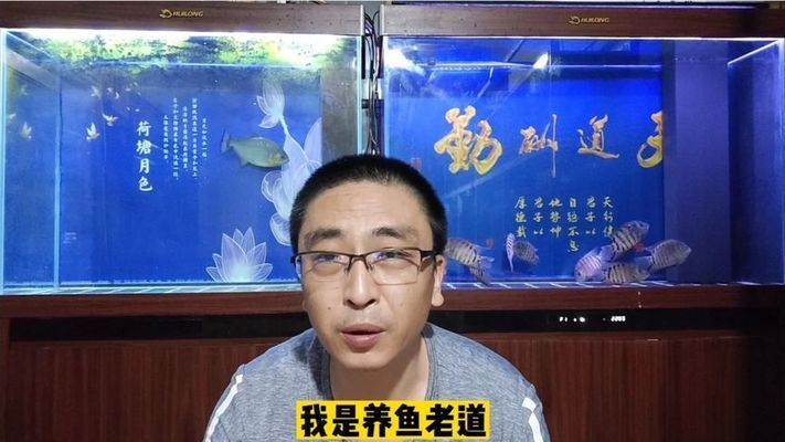 龙鱼为什么趴缸底（如何判断龙鱼是否因为环境不适而趴在缸底？） 水族问答 第2张