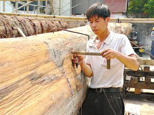 龙鱼产地坤甸是哪里的（印度尼西亚的一个重要城市，位于加里曼丹岛的西海岸） 龙鱼百科 第5张