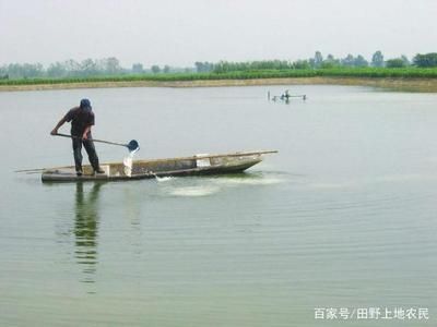 龙鱼最近老是撞缸怎么回事（为什么龙鱼最近老是撞缸？） 水族问答 第2张