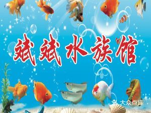 适合水族馆的文案（海洋生物多样性介绍）