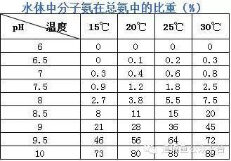 和金龙鱼一样的鱼是什么鱼啊（和金龙鱼一样的鱼是什么鱼？） 水族问答 第1张