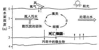 金龙鱼尾巴往下垂怎么办（金龙鱼尾巴往下垂可能是由多种因素引起的，改善方法有多种） 水族问答