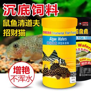 黄金猫鱼专用饲料品牌推荐（黄金猫鱼专用饲料品牌）