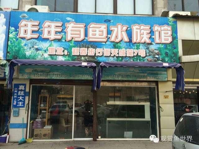 水族馆加盟店赚钱吗知乎怎么样啊（水族馆加盟店的盈利能力） 水族馆百科（水族馆加盟） 第5张