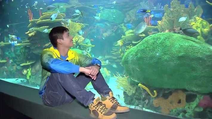 水族馆是卖什么的啊视频（水族馆主要展示各种海洋生物）