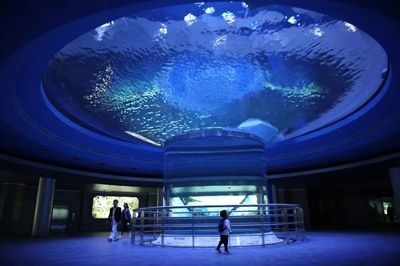 开水族馆需要准备什么（开水族馆装修风格指南,水族馆生物选购注意事项） 水族馆百科（水族馆加盟） 第5张