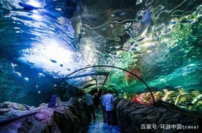 水族馆制作厂家地址（水族馆制作厂家地址介绍）