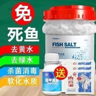 龙鱼缸用什么灯最好用呢（如何根据龙鱼的种类和数量来选择最合适的鱼缸照明设备？） 水族问答 第1张