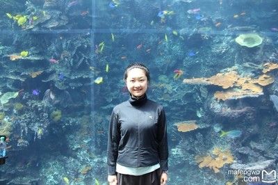 开水族馆需要多少钱一个月（开设一个水族馆所需费用的大概概览） 水族馆百科（水族馆加盟） 第3张