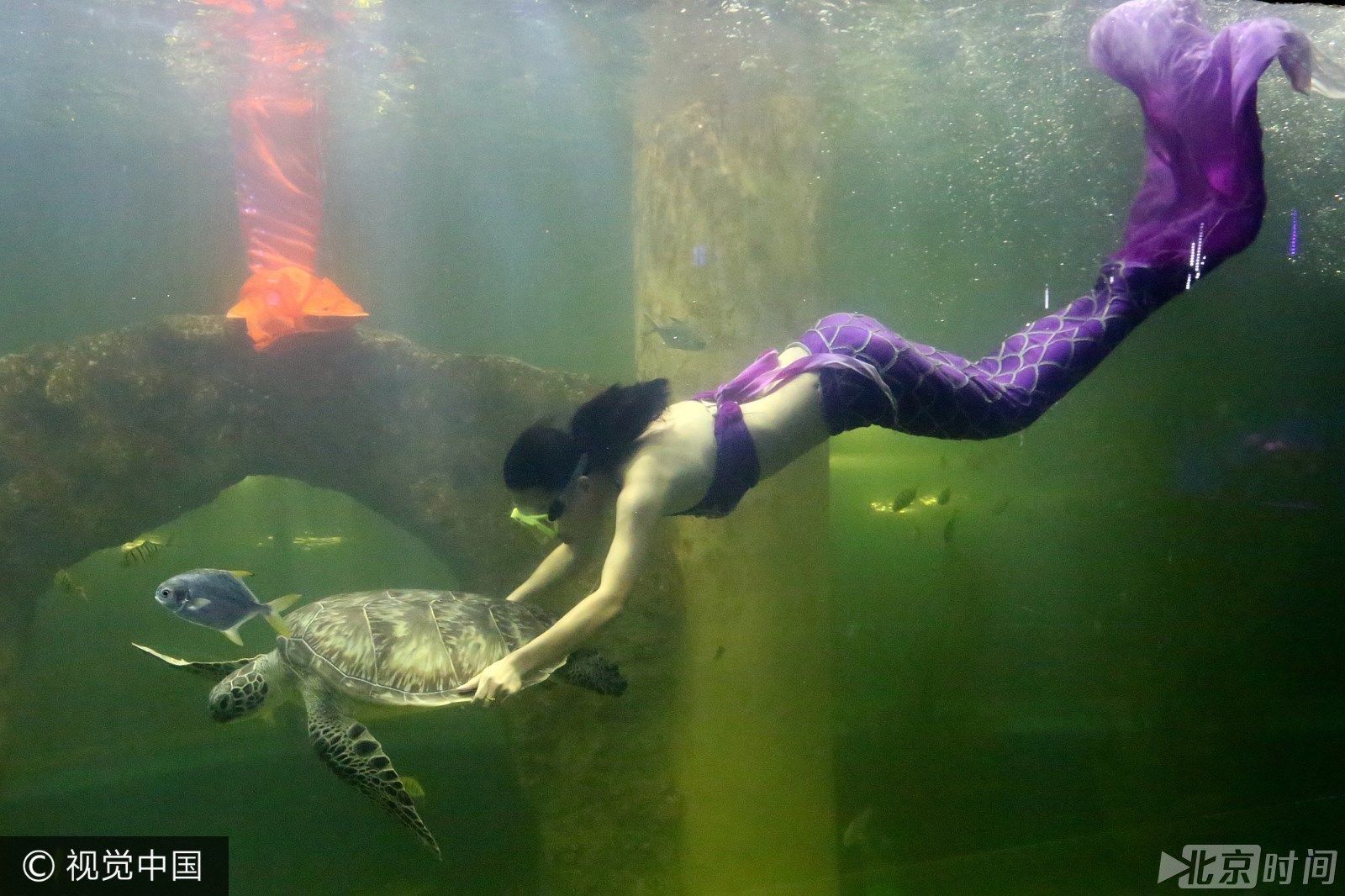 开水族馆需要多少钱一个月（开设一个水族馆所需费用的大概概览） 水族馆百科（水族馆加盟） 第5张