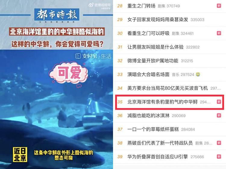 开水族馆需要多少钱一个月（开设一个水族馆所需费用的大概概览） 水族馆百科（水族馆加盟） 第4张