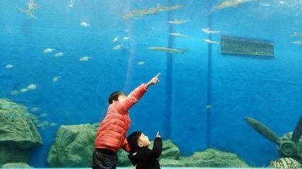 水族馆名称大全（全球知名的水族馆名称）