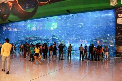 水族馆是卖什么的啊知乎（北京动物园水族馆）