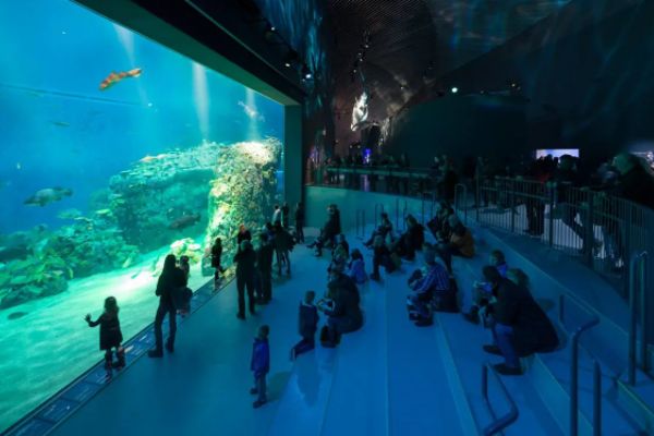 水族馆加盟店怎么样啊（水族馆加盟店投资回报率）