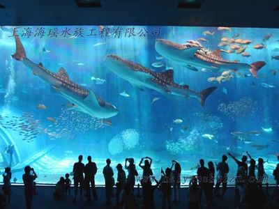 水族馆是什么行业（水族馆行业市场规模分析）