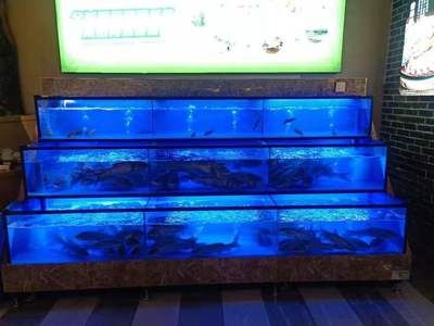 水族馆鱼缸多层制作视频（如何制作一个多层水族馆鱼缸） 水族馆百科（水族馆加盟） 第5张