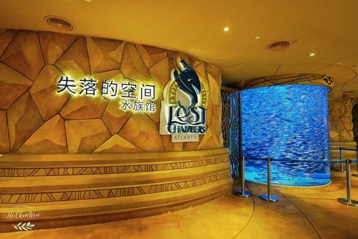 水族馆店铺名字大全（水族馆名字大全）