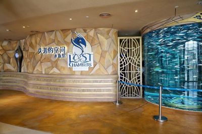 水族馆店铺名字大全（水族馆名字大全）