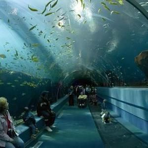 水族馆生意怎么样啊知乎（2021-2027年中国水族馆行业前景展望）