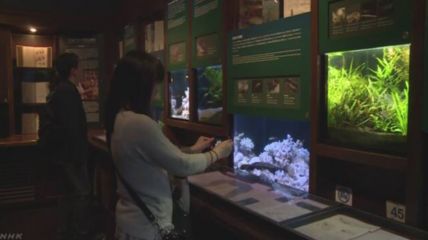 水族馆发展前景分析论文（水族馆发展前景分析）