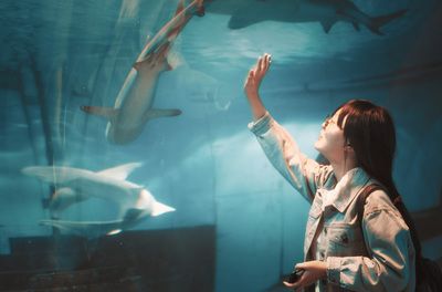 水族馆发展前景分析论文（水族馆发展前景分析）