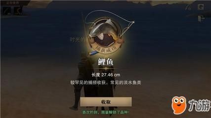 龙鱼和狗头鱼能一起养吗（龙鱼和狗头鱼可以一起养吗） 水族问答