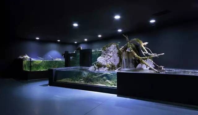 水族馆是干什么的地方（世界著名水族馆特色介绍）