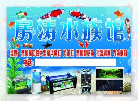 水族馆门头设计图片（关于水族馆门头设计图片的网站推荐） 水族馆百科（水族馆加盟） 第4张