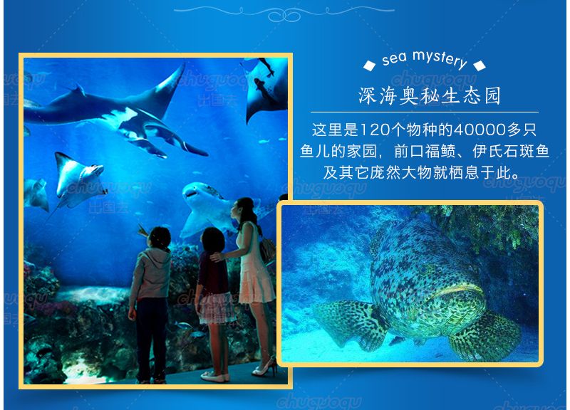 水族馆背后的秘密（《诡异水族馆》）