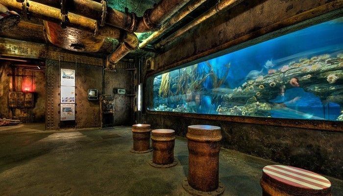 最好的水族馆国内排名（上海长隆国际海洋度假区）