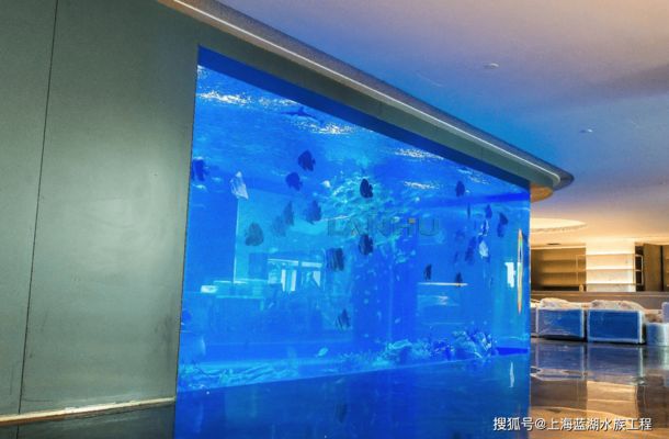 水族馆鱼缸定制（水族馆鱼缸定制是针对特定需求和空间进行个性化服务） 水族馆百科（水族馆加盟） 第5张