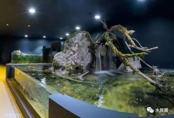 水族馆内岩石造景建议（水族箱岩石造景案例分享：水族箱岩石造景风水讲究）