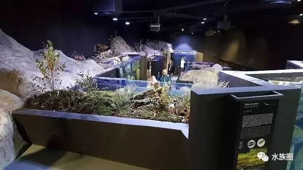 水族馆内岩石造景建议（水族箱岩石造景案例分享：水族箱岩石造景风水讲究） 水族馆百科（水族馆加盟） 第4张