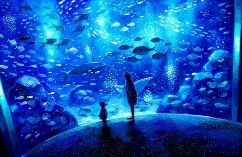 水族馆加盟条件及费用标准是多少（水族馆加盟条件及费用是许多潜在加盟商关心的问题） 水族馆百科（水族馆加盟） 第3张